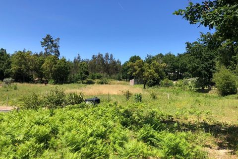 Tomt i Santa Comba Dao, Viseu, Santa Comba Dao - € 29 000 | Ref: SALI0189-3 - foto 2