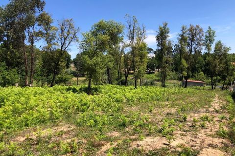 Tomt i Santa Comba Dao, Viseu, Santa Comba Dao - € 29 000 | Ref: SALI0189-3 - foto 5