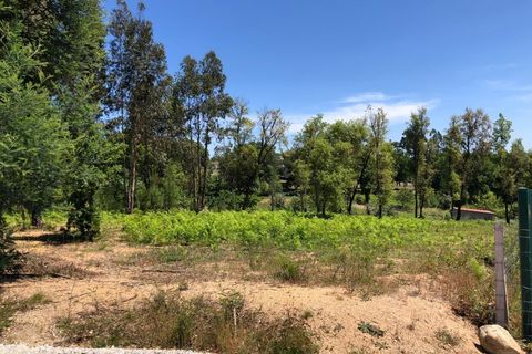 Tomt i Santa Comba Dao, Viseu, Santa Comba Dao - € 29 000 | Ref: SALI0189-3 - foto 7