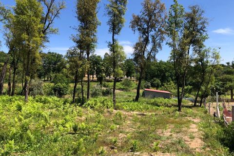 Tomt i Santa Comba Dao, Viseu, Santa Comba Dao - € 29 000 | Ref: SALI0189-3 - foto 8
