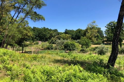 Tomt i Santa Comba Dao, Viseu, Santa Comba Dao - € 29 000 | Ref: SALI0189-3 - foto 9