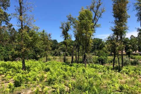 Tomt i Santa Comba Dao, Viseu, Santa Comba Dao - € 29 000 | Ref: SALI0189-3 - foto 10