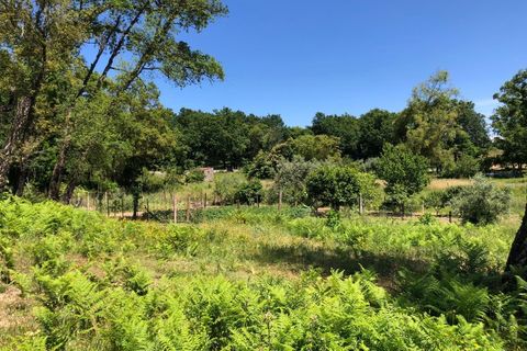Tomt i Santa Comba Dao, Viseu, Santa Comba Dao - € 29 000 | Ref: SALI0189-3 - foto 11