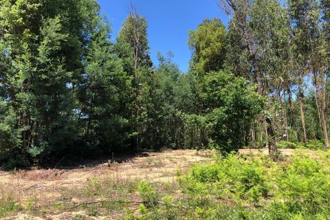 Tomt i Santa Comba Dao, Viseu, Santa Comba Dao - € 29 000 | Ref: SALI0189-3 - foto 12