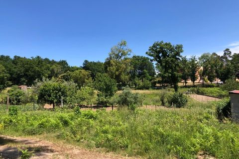 Tomt i Santa Comba Dao, Viseu, Santa Comba Dao - € 29 000 | Ref: SALI0189-3 - foto 13