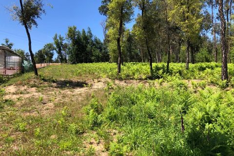 Tomt i Santa Comba Dao, Viseu, Santa Comba Dao - € 29 000 | Ref: SALI0189-3 - foto 14
