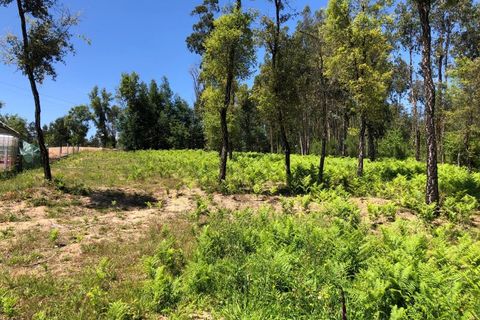 Tomt i Santa Comba Dao, Viseu, Santa Comba Dao - € 29 000 | Ref: SALI0189-3 - foto 15
