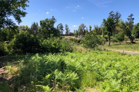 Tomt i Santa Comba Dao, Viseu, Santa Comba Dao - € 29 000 | Ref: SALI0189-3 - foto 20