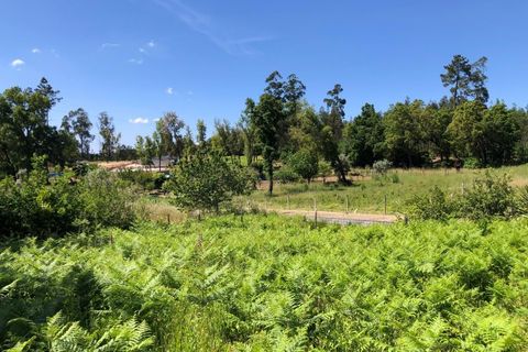 Tomt i Santa Comba Dao, Viseu, Santa Comba Dao - € 29 000 | Ref: SALI0189-3 - foto 21