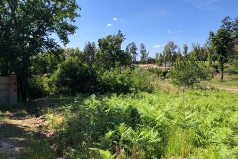 Tomt i Santa Comba Dao, Viseu, Santa Comba Dao - € 29 000 | Ref: SALI0189-3 - foto 22