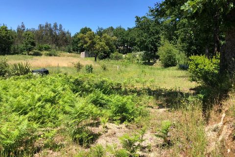 Tomt i Santa Comba Dao, Viseu, Santa Comba Dao - € 29 000 | Ref: SALI0189-3 - foto 23