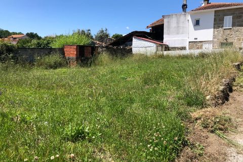 Tomt i Santa Comba Dao, Viseu, Santa Comba Dao - € 12 500 | Ref: SALI0189-1 - foto 2