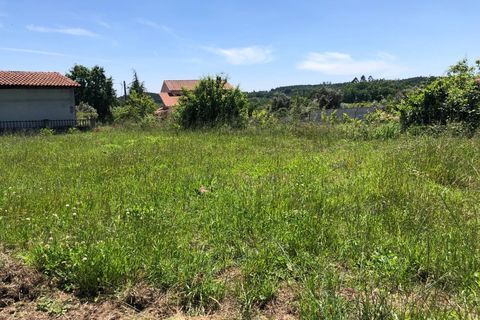 Tomt i Santa Comba Dao, Viseu, Santa Comba Dao - € 12 500 | Ref: SALI0189-1 - foto 3