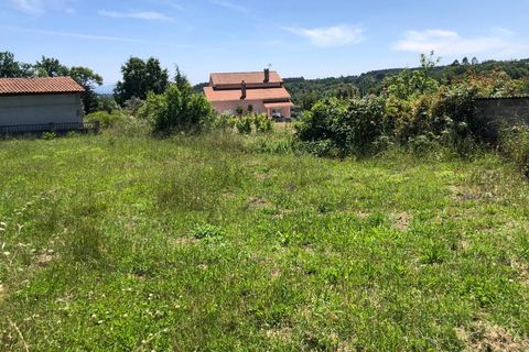Tomt i Santa Comba Dao, Viseu, Santa Comba Dao - € 12 500 | Ref: SALI0189-1 - foto 4