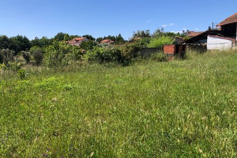Tomt i Santa Comba Dao, Viseu, Santa Comba Dao - € 12 500 | Ref: SALI0189-1 - foto 6