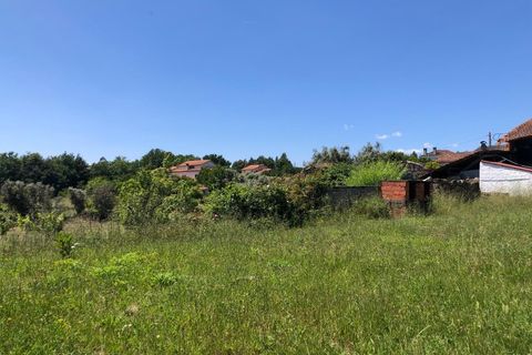 Tomt i Santa Comba Dao, Viseu, Santa Comba Dao - € 12 500 | Ref: SALI0189-1 - foto 7