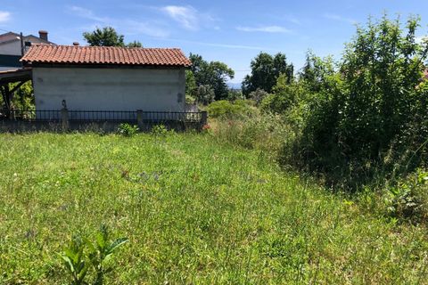 Tomt i Santa Comba Dao, Viseu, Santa Comba Dao - € 12 500 | Ref: SALI0189-1 - foto 8