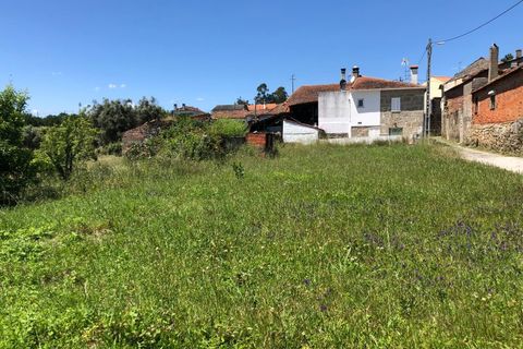 Tomt i Santa Comba Dao, Viseu, Santa Comba Dao - € 12 500 | Ref: SALI0189-1 - foto 9