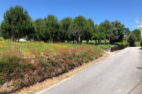 Helårsgrund i Santa Comba Dao, Viseu, Santa Comba Dao - € 17.500 | Ref: SALI0189 - foto 3