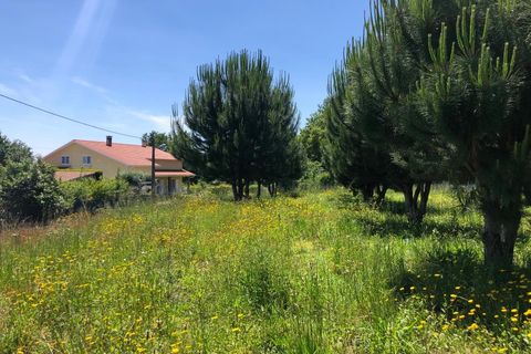 Helårsgrund i Santa Comba Dao, Viseu, Santa Comba Dao - € 17.500 | Ref: SALI0189 - foto 5