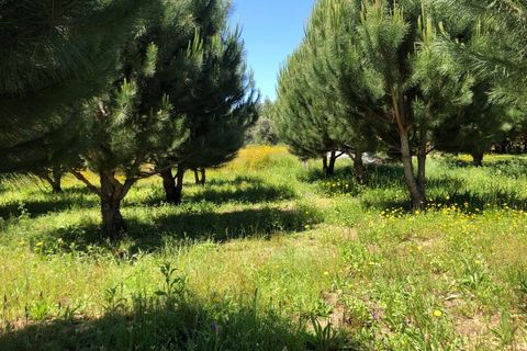 Helårsgrund i Santa Comba Dao, Viseu, Santa Comba Dao - € 17.500 | Ref: SALI0189 - foto 6