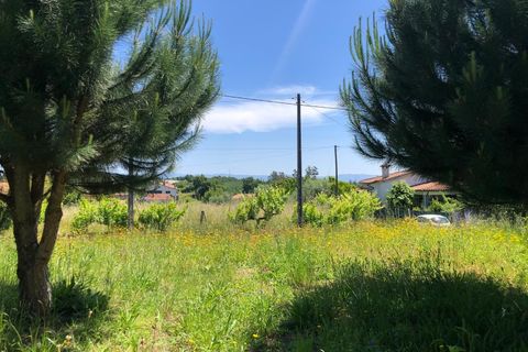 Helårsgrund i Santa Comba Dao, Viseu, Santa Comba Dao - € 17.500 | Ref: SALI0189 - foto 8