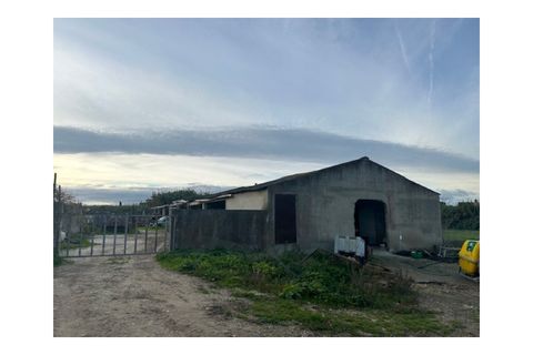 Helårsgrund i Alcochete, Setubal, Alcochete - € 13.000.000 | Ref: SÒL_256 - foto 5
