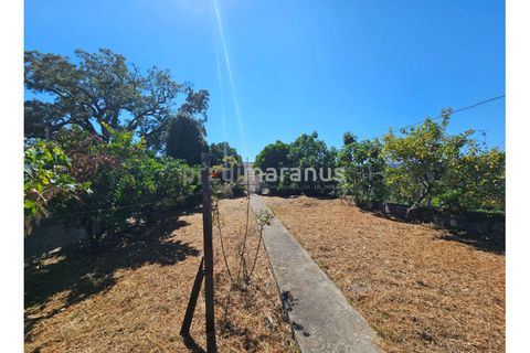 Villa i Amarante, Porto, Amarante - € 185.000 | Ref: M/11292 - foto 13