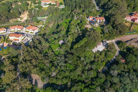 Helårsgrund i Sintra, Lisbon, Sintra - € 1.500.000 | Ref: DH668 - foto 3