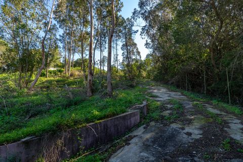 Helårsgrund i Sintra, Lisbon, Sintra - € 1.500.000 | Ref: DH668 - foto 8