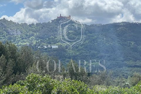 Helårsgrund i Sintra, Lisbon, Sintra - € 400.000 | Ref: 20250188 - foto 4