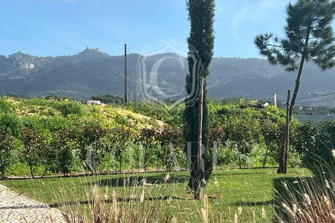Helårsgrund i Sintra, Lisbon, Sintra - € 400.000 | Ref: 20250188 - foto 5