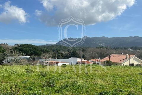 Helårsgrund i Sintra, Lisbon, Sintra - € 400.000 | Ref: 20250188 - foto 6