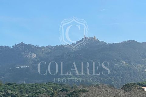 Helårsgrund i Sintra, Lisbon, Sintra - € 400.000 | Ref: 20250188 - foto 8