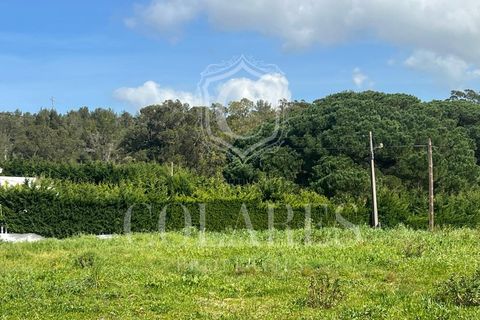 Helårsgrund i Sintra, Lisbon, Sintra - € 400.000 | Ref: 20250188 - foto 10