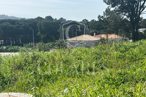 Helårsgrund i Sintra, Lisbon, Sintra - € 400.000 | Ref: 20250188 - foto 15