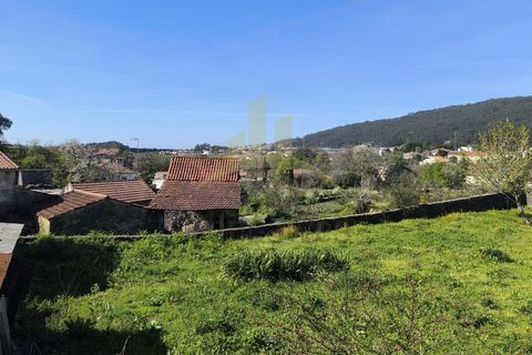 Helårsgrund i Viana do Castelo, Viana do Castelo, Viana do Castelo - € 110.000 | Ref: SG-0029 - foto 7