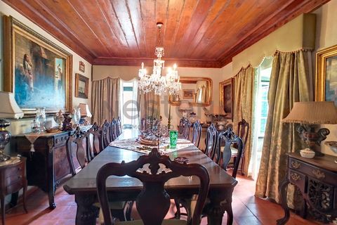 Farm i Mafra, Lisbon, Mafra - € 2.550.000 | Ref: N104MFR546 - foto 17