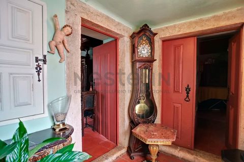Farm i Mafra, Lisbon, Mafra - € 2.550.000 | Ref: N104MFR546 - foto 22
