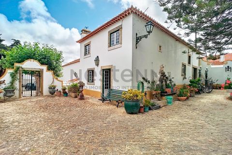 Farm i Mafra, Lisbon, Mafra - € 2.550.000 | Ref: N104MFR546 - foto 45