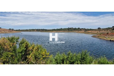 Farm i Beja, Beja, Beja - € 16.000.000 | Ref: FIN_1394 - foto 1