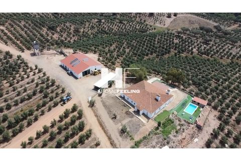 Farm i Beja, Beja, Beja - € 16.000.000 | Ref: FIN_1394 - foto 2