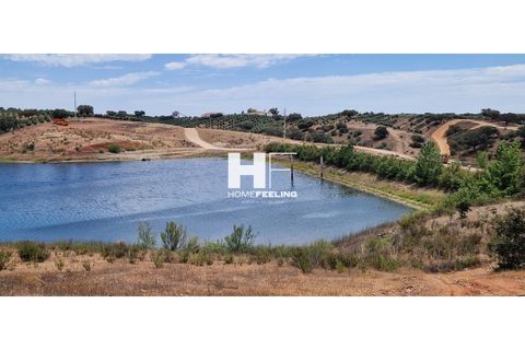 Farm i Beja, Beja, Beja - € 16.000.000 | Ref: FIN_1394 - foto 7