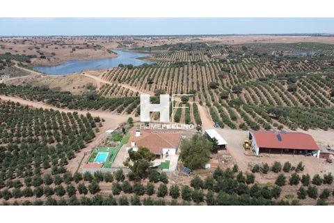 Farm i Beja, Beja, Beja - € 16.000.000 | Ref: FIN_1394 - foto 9