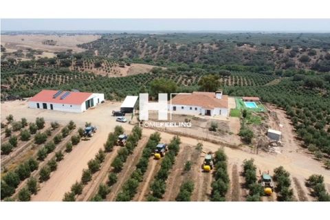 Farm i Beja, Beja, Beja - € 16.000.000 | Ref: FIN_1394 - foto 11