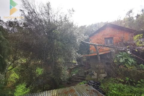 Landejendom i Gondufe, Viana do Castelo, Gondufe - € 65.000 | Ref: AVV-005-009 - foto 12
