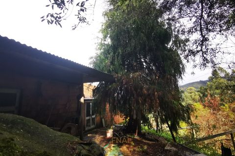 Landejendom i Gondufe, Viana do Castelo, Gondufe - € 65.000 | Ref: AVV-005-009 - foto 17