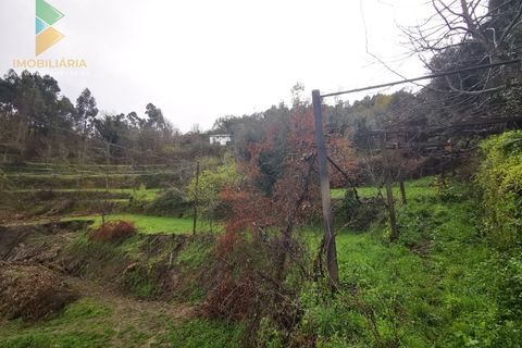 Landejendom i Gondufe, Viana do Castelo, Gondufe - € 65.000 | Ref: AVV-005-009 - foto 18