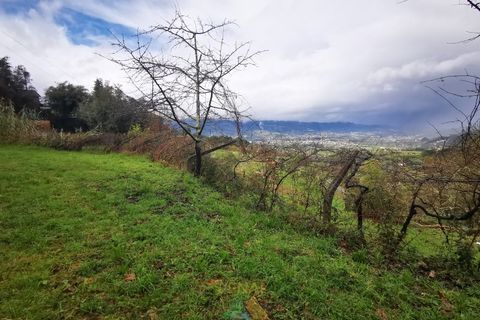 Landejendom i Gondufe, Viana do Castelo, Gondufe - € 65.000 | Ref: AVV-005-009 - foto 19