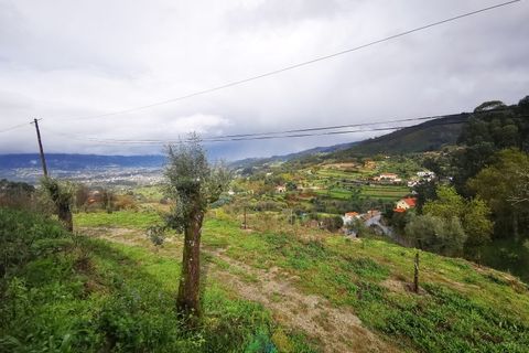 Landejendom i Gondufe, Viana do Castelo, Gondufe - € 65.000 | Ref: AVV-005-009 - foto 20